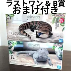 2025年最新】一番くじ 爬虫類 bの人気アイテム - メルカリ