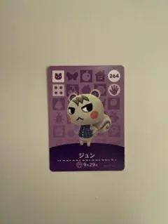 2026年最新】amiboジュンの人気アイテム - メルカリ