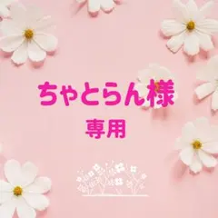 2026年最新】カクタスパーチの人気アイテム - メルカリ