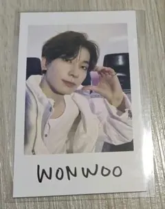 SEVENTEEN　セブチ　Follow　インスタントフォト　ステッカー　ウォヌ