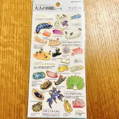 【最安値】大人の図鑑シール ウミウシ キティ 危険生物