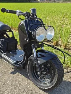 ホンダ ズーマー☆社外ヘッドライト☆イカリング☆ - メルカリ