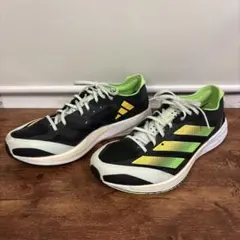 Item thumbnail for item 06546312-12d4-48b0-9098-d1259f423e06