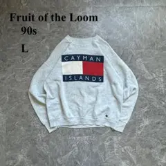 90s Fruit of the Loom（L）USA製＊プリントスウェット