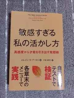 敏感すぎる私の活かし方 高感度から才能を引き出す発想術