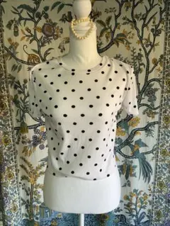 ZARA TRAFALUC ドット柄 リブTシャツのサムネイル