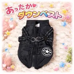 Item thumbnail for item a2f31ddf-da7f-471a-b09f-da6ddbd95ab6