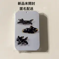 ポケモン工芸展　 ブラッキー　ミント缶　 新品未開封　匿名配送