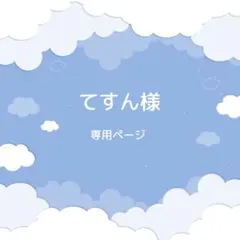 てすん様専用ページ
