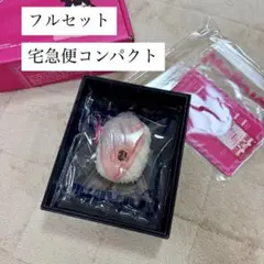 【Mellojoy】メロジョイ 極み・鮨 春子鯛