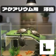 亀用 浮き島 日向ぼっこ台 浮島 陸地 カメ 水槽　爬虫類　日光浴　アクアリウムのサムネイル