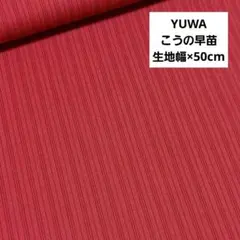 YUWA　こうの早苗　生地　布【生地幅×50cm】ストライプ柄　No.1403