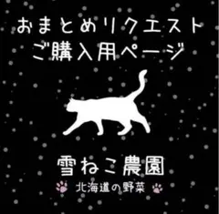 sshr様 リクエスト 4点 まとめ商品