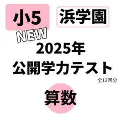 浜学園5年生算数一式 浜学園 小5 算数 マスターコース テーマ教材 3冊セット - メルカリ