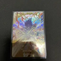 ピ*ン様 【未使用】ベジータ　EXR EX1-003