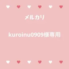 kuroinu0909様 リクエスト 3点 まとめ商品