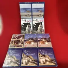 Item thumbnail for item 169e4207-fdee-4a4f-9394-fbdfc5523898