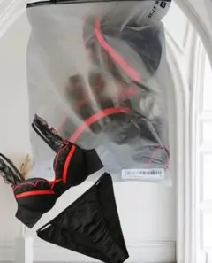 セーラーレッドラインブラック　レーストリムプッシュアップブラ＆ショーツセット