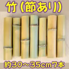 Item thumbnail for item 93df8e6e-3b78-40f1-bb29-1b16ee07d182