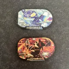 メザスタ　ゲンシカイオーガ　ゲンシグラードン