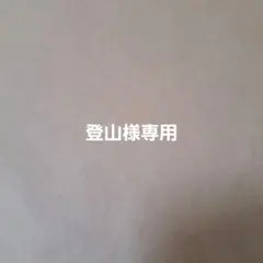 専用出品です。