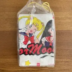 Item thumbnail for item 54cb3023-be09-417d-ab1c-2a559c97a456