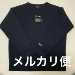 Item thumbnail for item 37dccbb3-a20b-4ba1-aab4-3b1ec3958c3e