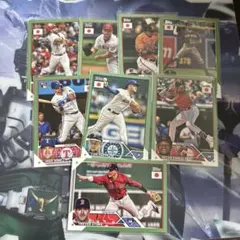 Item thumbnail for item 8101bac8-b104-4433-9482-e8e9f701ccda