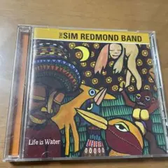 サーフ系ミュージック！8枚！激レア1枚直筆サイン入SIM REDMOND! サーフ系ミュージック！8枚！激レア1枚直筆サイン入SIM REDMOND!