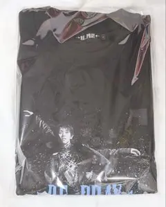 試着のみ 美品 羽生結弦選手 RE_PRAY ビジュアル 長袖tシャツ ロンt