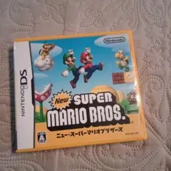 DS ニュースーパーマリオブラザーズ