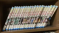 ドラゴンボール 全巻セット