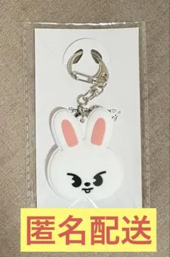 StrayKids 展覧会 展示会 キーカバー リービット