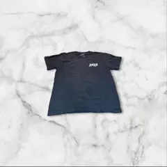 海賊デザインtシャツ バックプリント