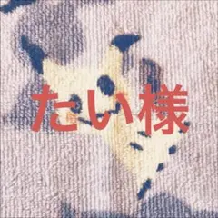 たい様 専用