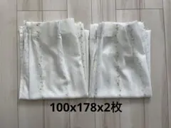 Item thumbnail for item 3072c597-1325-4637-8faf-43a5856f00f0