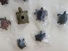 亀 フィギュア コレクション 木製ディスプレイケース付き