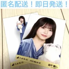 14thBDライブTシャツ 森平麗心 会場限定生写真 乃木坂46 コンプ 生写真4種4枚 封入 respect My 森平麗心 匿名/乃木坂46 コンプ メルカリ - アイドル