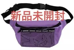 ポケモン パーク ゲンガー メッシュ ショルダーバッグ ボディバッグ ポーチ