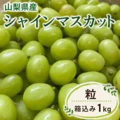 山梨県産　家庭用　シャインマスカット　粒　箱込み1kg ⑪のサムネイル