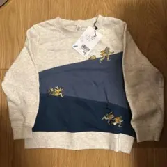 Item thumbnail for item 55c17474-66f9-4752-ab7e-59cf4650e66e