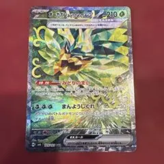 オーガポン　みどりのめん　SAR ポケモンカードのサムネイル