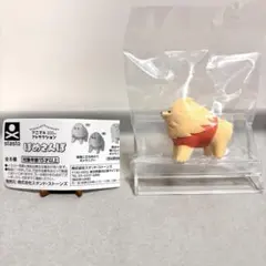 미개봉 stasto ぽめさんぽ 強風に立ち向かうポメラニアン 화이트