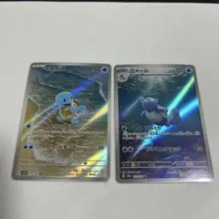 ゼニガメ カメールar