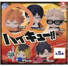 ハイキュー!! おねむたん 日向翔陽