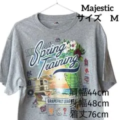 2017Majestic Spring Training Tシャツのサムネイル