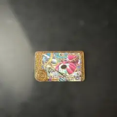 フレンダピック　フーパ