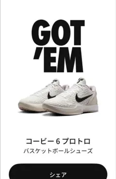 2025年最新】NIke kobe 6 protro 