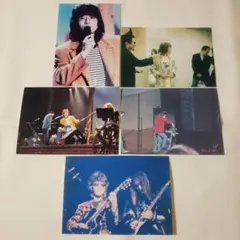 THE ALFEE 坂崎幸之助写真集「元野良ネコ」 - メルカリ