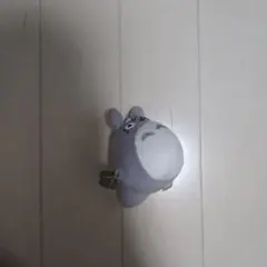 ア*ル様 トトロのサムネイル